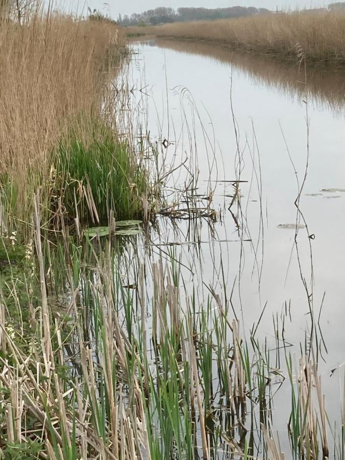 Vakantiehuis 'T Laaisterplakky Zonder Drempels Oude Bildtzijl ภายนอก รูปภาพ