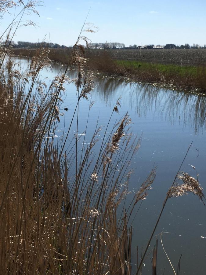 Vakantiehuis 'T Laaisterplakky Zonder Drempels Oude Bildtzijl ภายนอก รูปภาพ